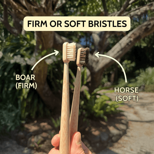 Brosse à dents à poils naturels — manche en bambou (boîte de 4)