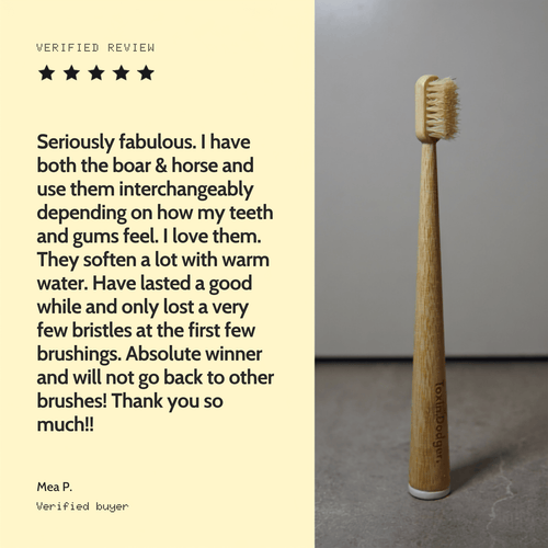 Brosse à dents à poils naturels — manche en bambou (boîte de 4)